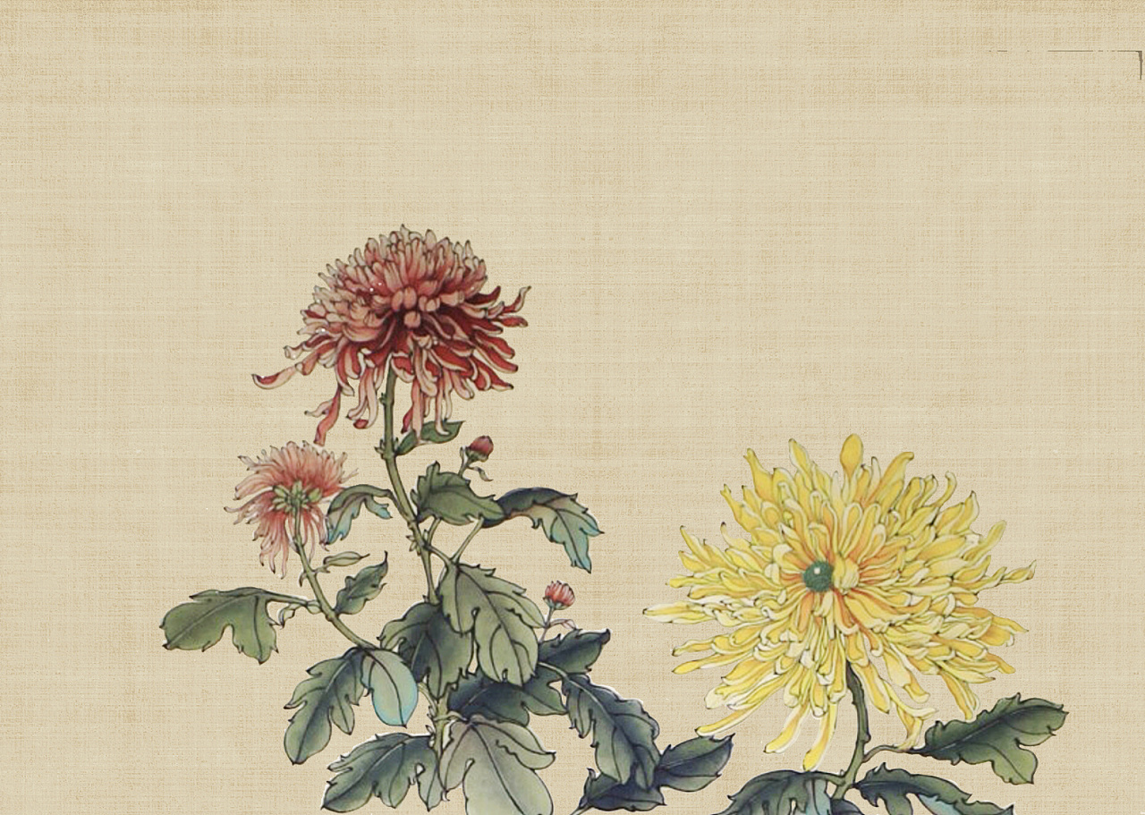 连续40年，北海赏秋菊！一年一度的菊花展又来了_京报网