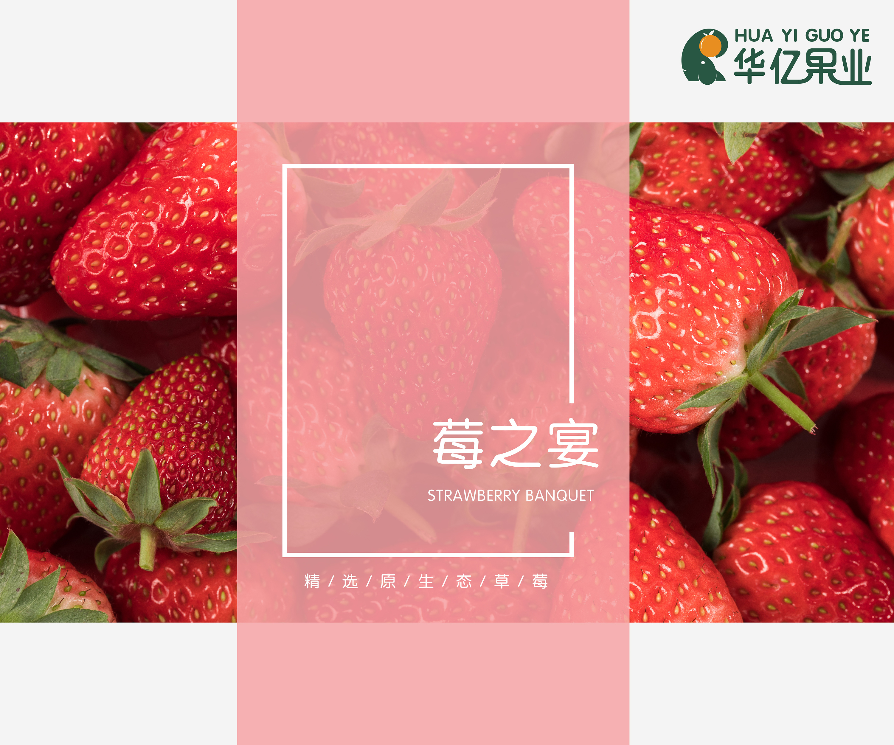 霸气芝士水晶草莓|草莓|芝士|果冻_新浪新闻