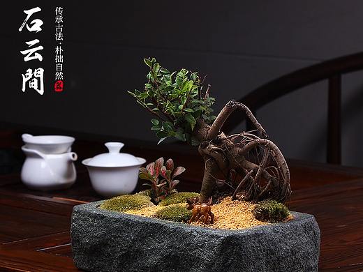 石云间石头茶具摄影