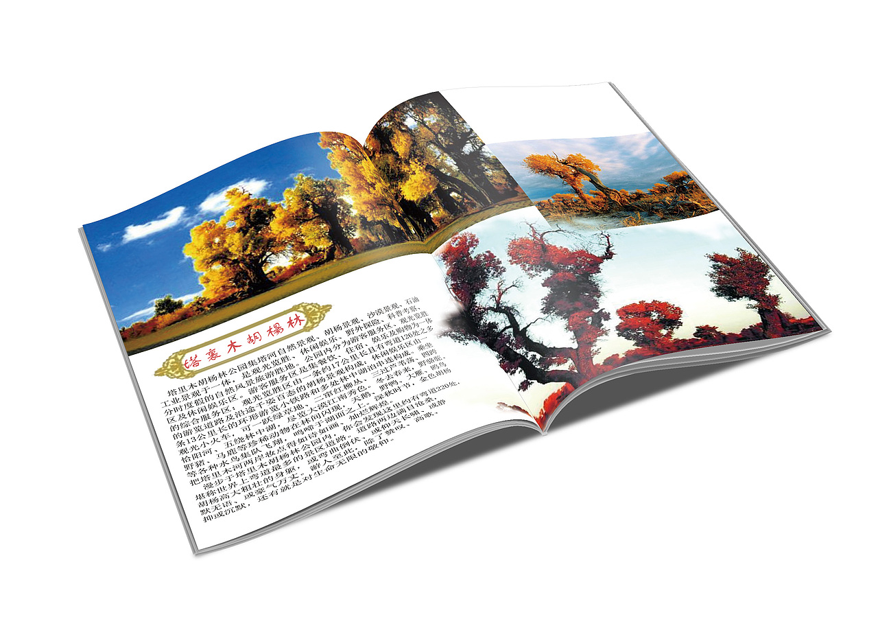 新疆旅游画册 （效果）（图ZNjAwODEwMjQ=） - 书籍/画册 - 站酷设计师姜HJ原创素材 - 站酷ZCOOL