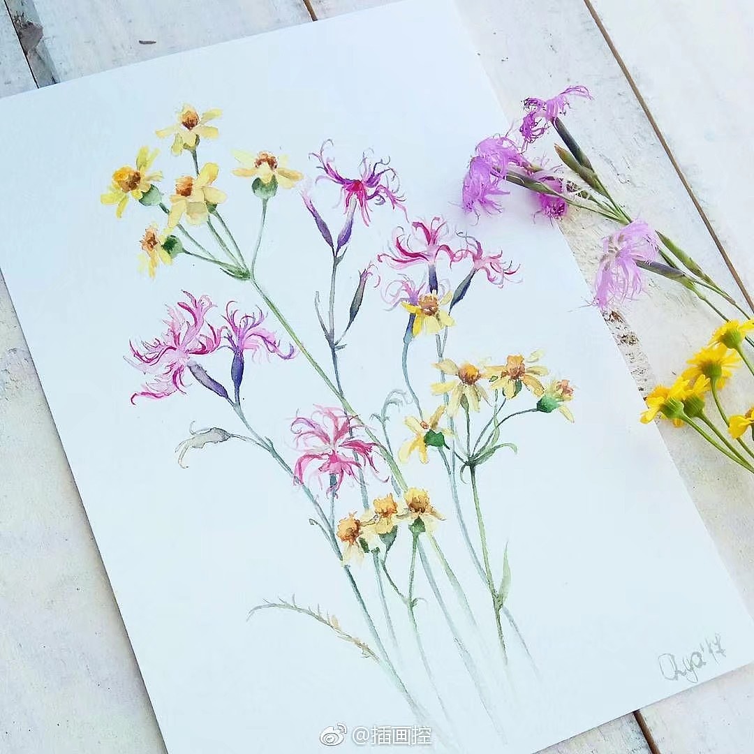 清新手绘（图ZMTI5Mjc0NTQ0） - 艺术插画 - 站酷设计师一只虎斑喵呀原创素材 - 站酷ZCOOL