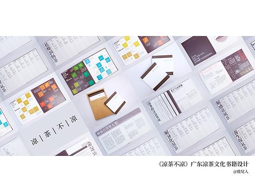 《凉茶不凉》广东凉茶文化书籍设计