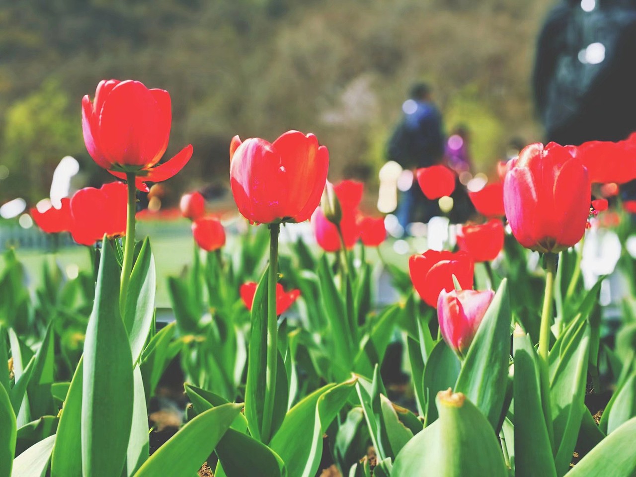 手机摄影（图ZMjE4MzA0MzMy） - 其他摄影 - 站酷设计师z0701原创素材 - 站酷ZCOOL