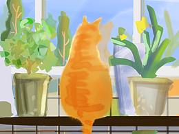 窗边的小猫咪