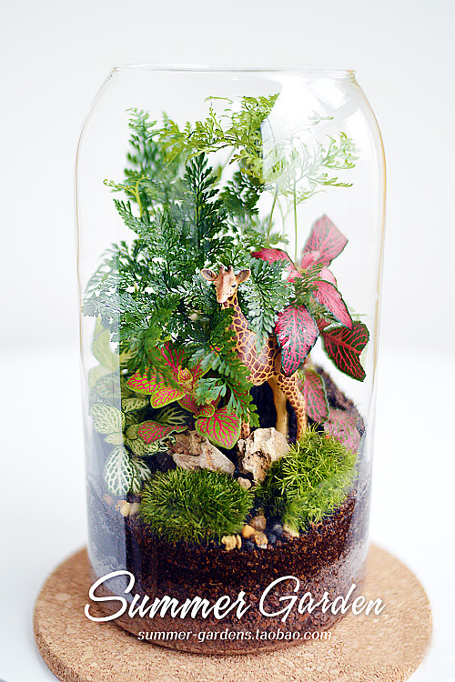 绿植手作之长颈鹿扎拉法--《夏末花园成长日记27》（图ZMjU4ODgwNjQ=） - 其他手工艺 - 站酷设计师zxsummer原创素材 - 站酷ZCOOL