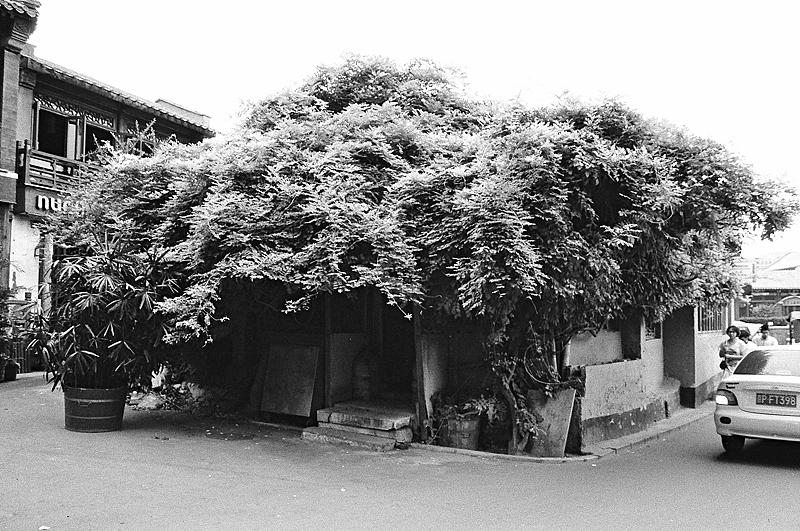 黑白影像(胶片)