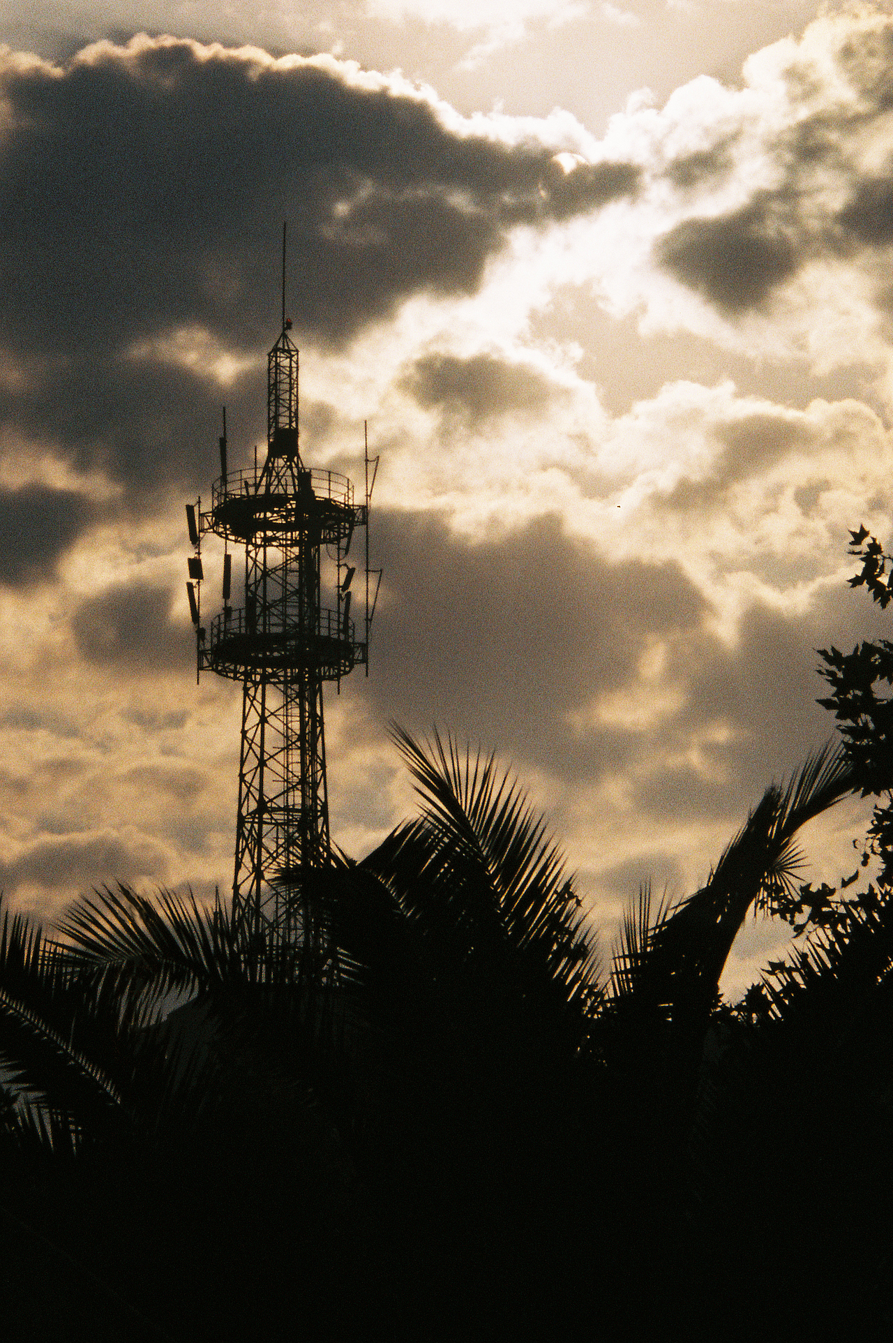 胶片摄影第二发