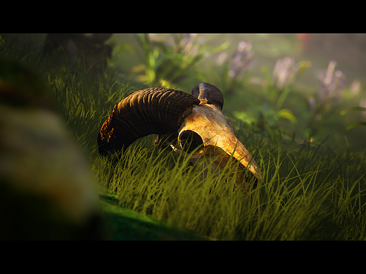 UE4实时渲染户外森林场景《鸟居》