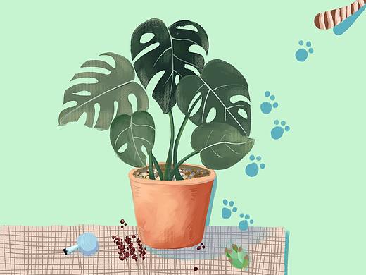 植物小世界