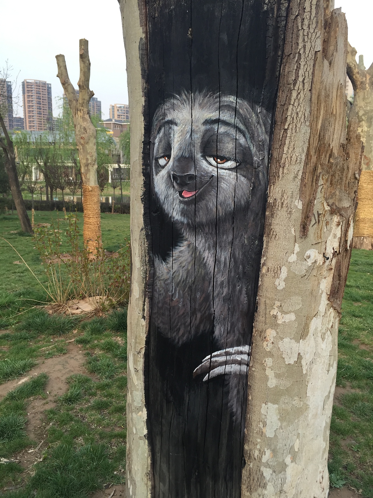 树洞画9-《疯狂动物城》闪电