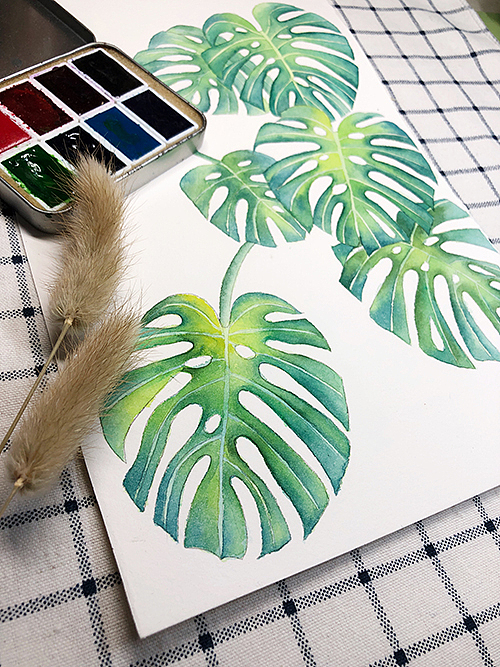 绿油油的龟背叶-水彩画