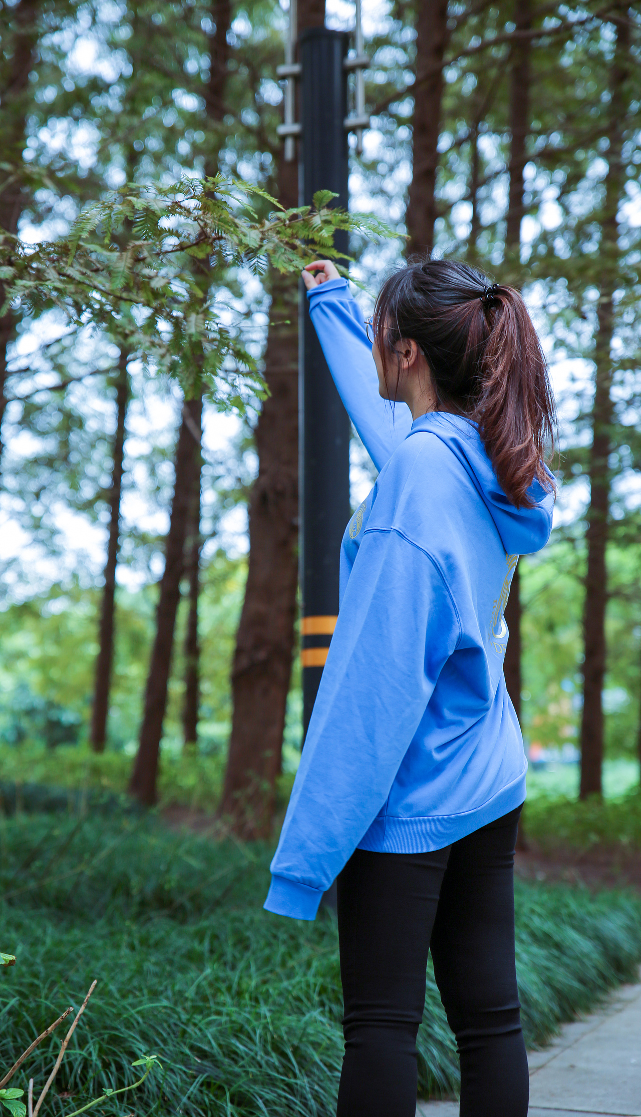 【秋分】卫衣模特外拍