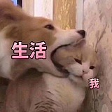 别忘呐的头像