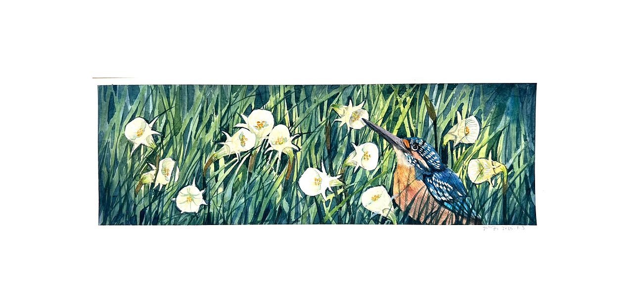 水彩 花鸟卷（就是有花有鸟）（图ZMzg2MzQwNzc2） - 绘画 - 站酷设计师阿哈大原创素材 - 站酷ZCOOL