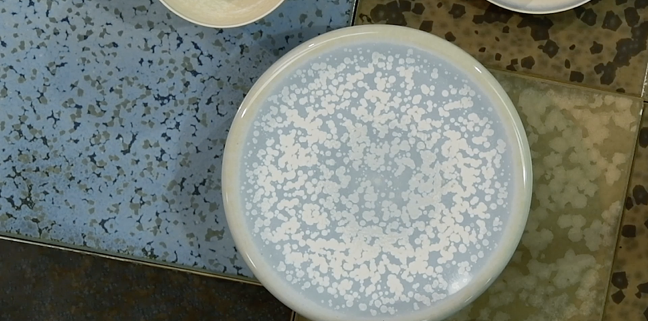 日目三辰|法式生活美学纪录片《匠艺百年》第六集