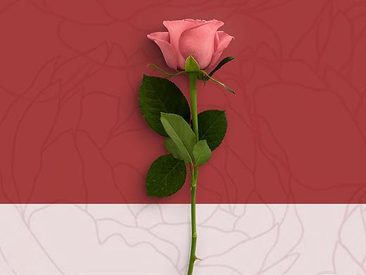 花語(yǔ)坊（個(gè)人主頁(yè)-ZNTM4MDQwNTY=） - 海報(bào) - 站酷設(shè)計(jì)師了不起的薇薇原創(chuàng)素材 - 站酷ZCOOL