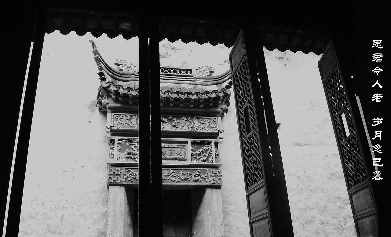 思君令人老 随意忽已暮