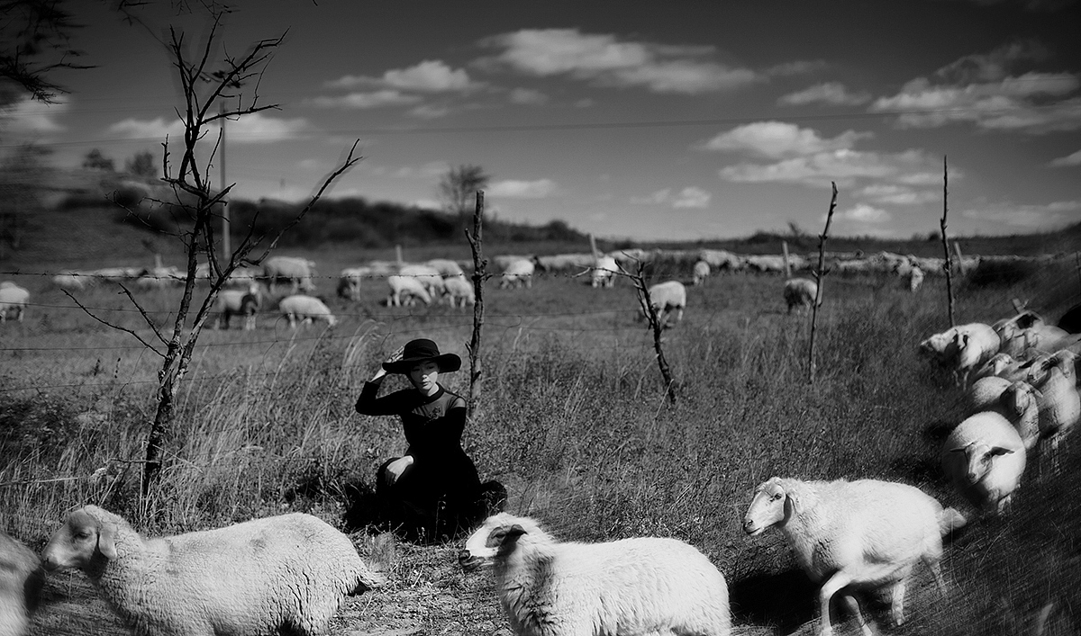 【乌兰布统的秋】