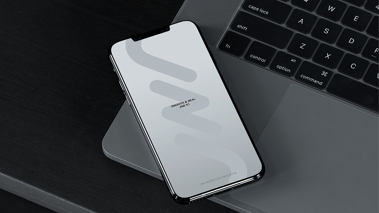 JNR尊悦品牌形象与包装