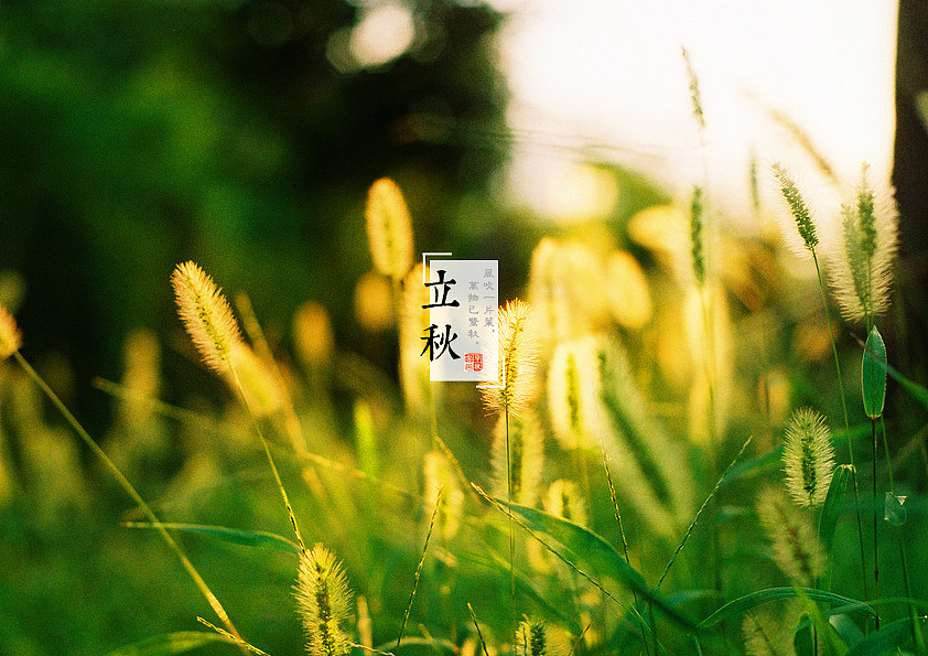 立秋
