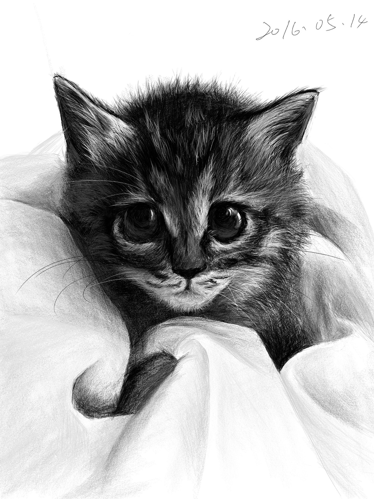 一匹马，一只小猫（图ZNTQ0NjE5MTI=） - 创作习作 - 站酷设计师泊熙凡原创素材 - 站酷ZCOOL