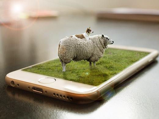 Ps基础合成图片（个人主页-ZMjU2MDk1MTI=） - 海报 - 站酷设计师Lisso原创素材 - 站酷ZCOOL