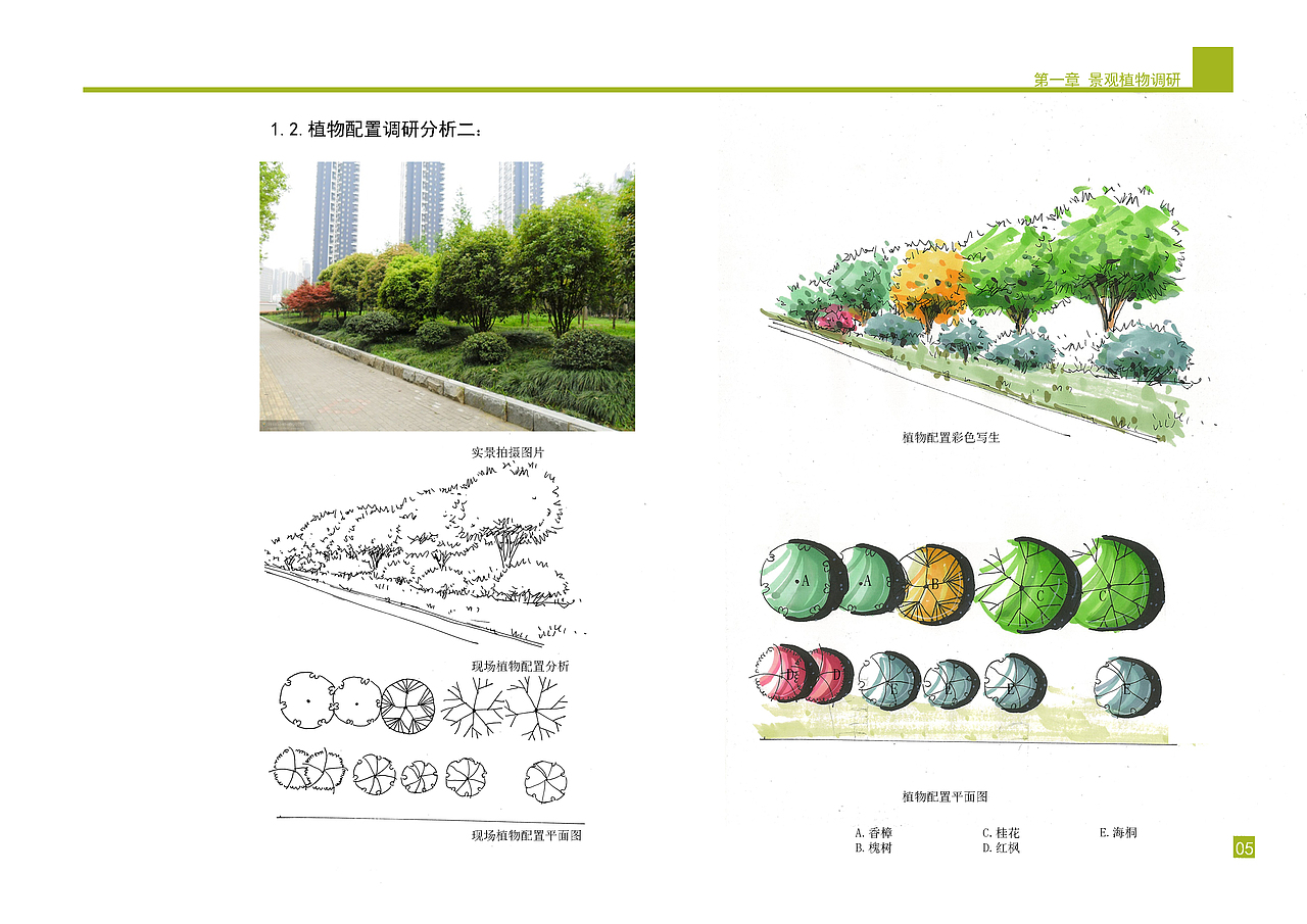 庭院景观植物设计方案