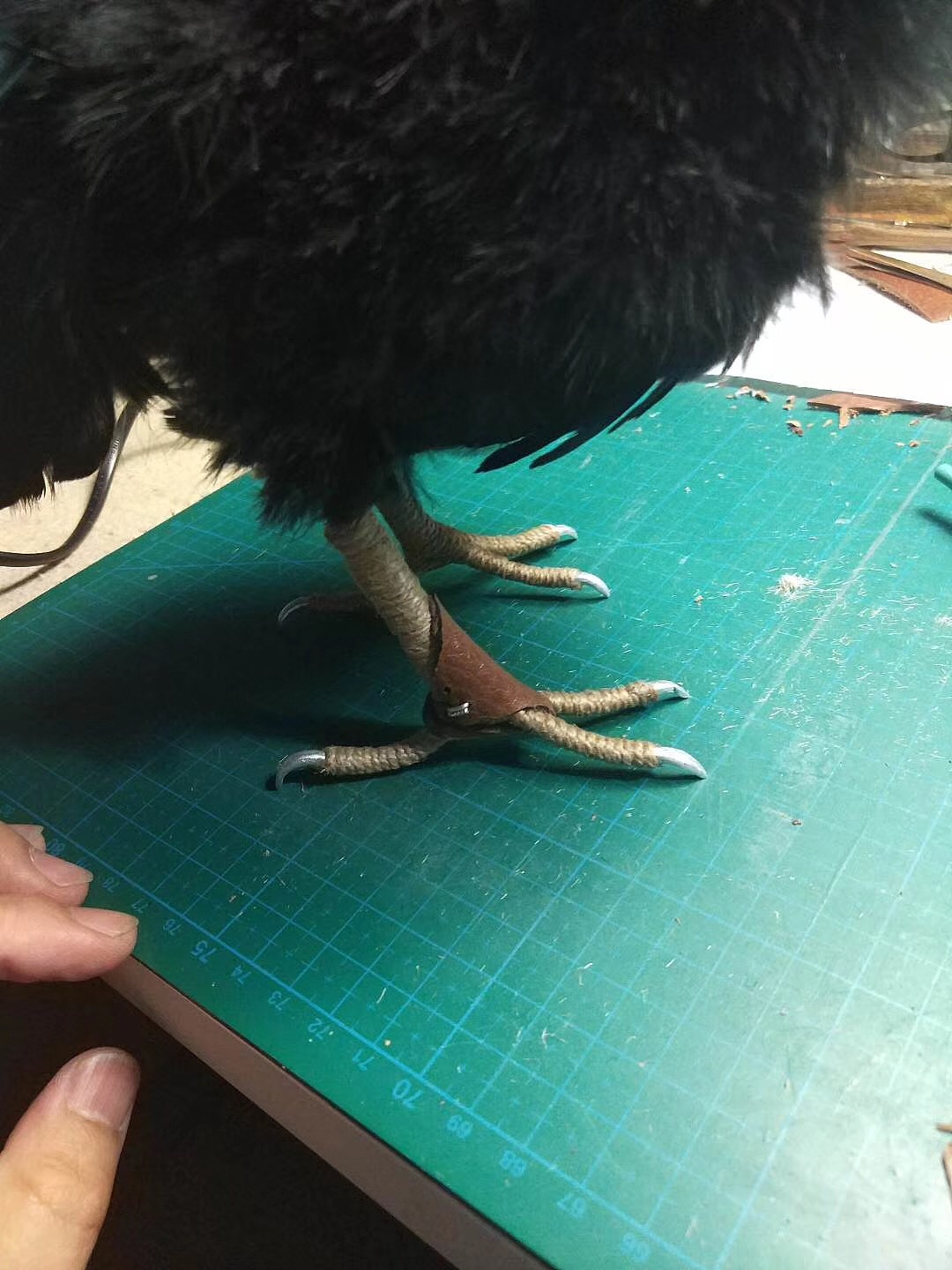 《独角仙黑鸦图》明子