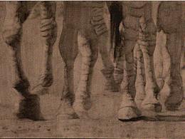 《迷悟》系列插畫