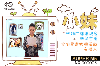 做动图好累的（图ZNDc5NzE1NjQ=） - 图案 - 站酷设计师橘子象原创素材 - 站酷ZCOOL