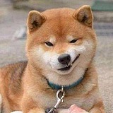 Sam木木木的头像