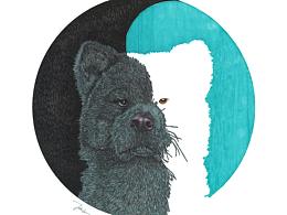 2017犬·态