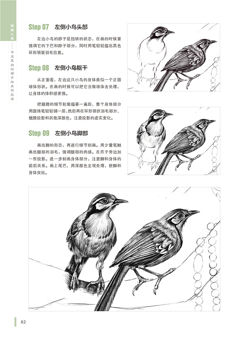 《插画之美——专业黑白插画手绘表现技法》案例步骤节选——《黑领噪鹛与水晶项链》(图ZMTc2MzUwNDA=) - 商业插画 - 站酷设计师疯子木原创素材 - 站酷ZCOOL