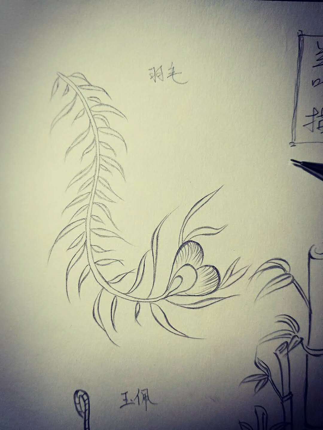 临摹作品 (非原创)2018.5