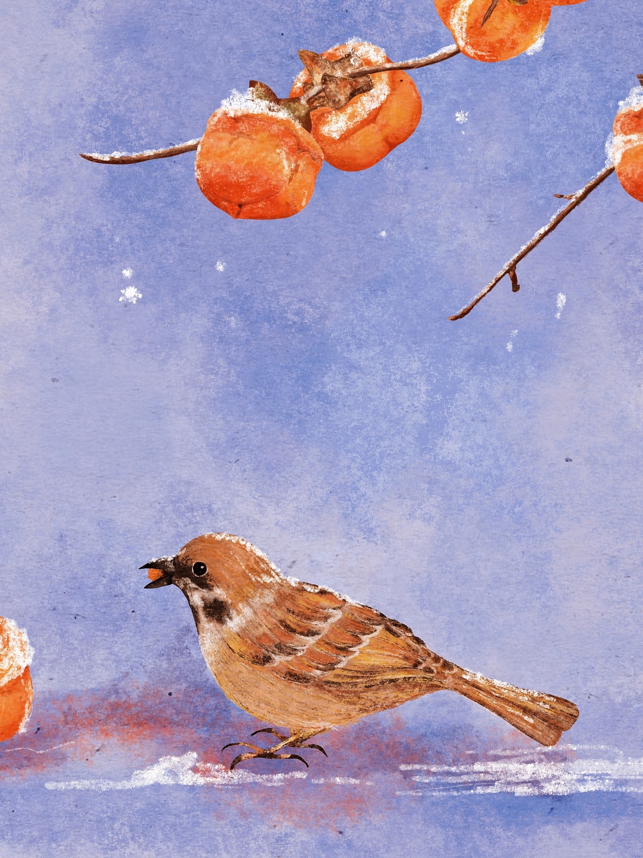 原创作品插画商业插画霜降二十四节气绘画板绘中国风水彩我们的24节气