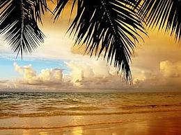 這個作品名稱怎么寫了？