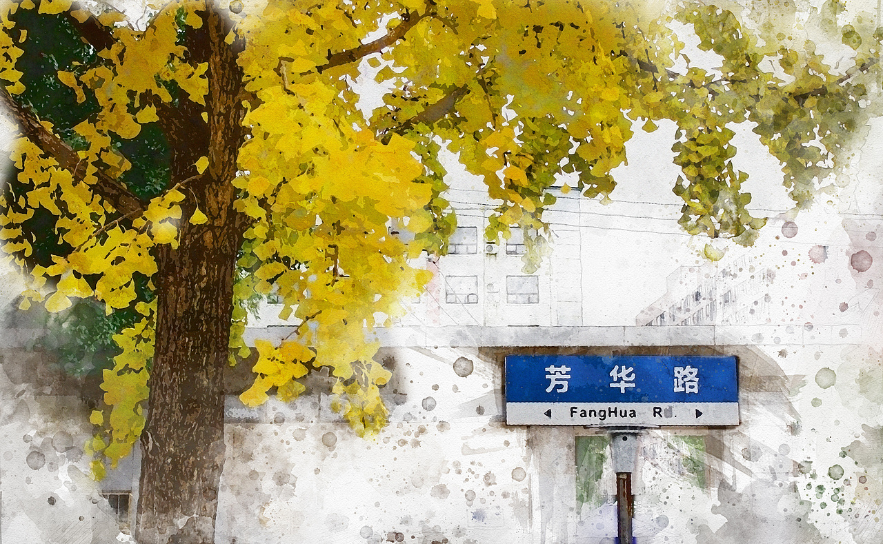 银杏叶·秋日记忆