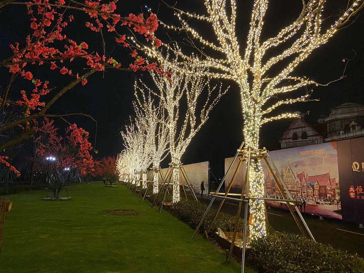 景观树木亮化提升-蚂蚁美陈