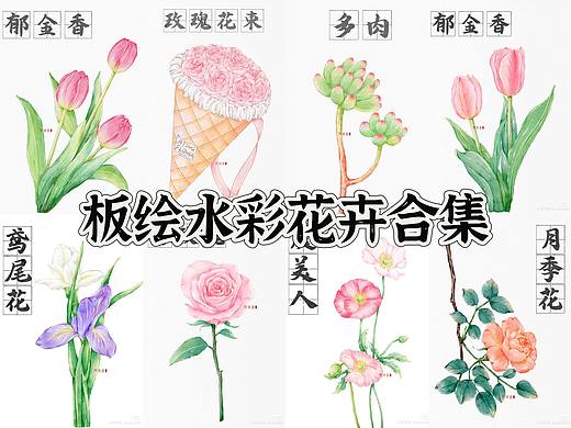 【合集】阿庭绘板绘水彩花卉插画