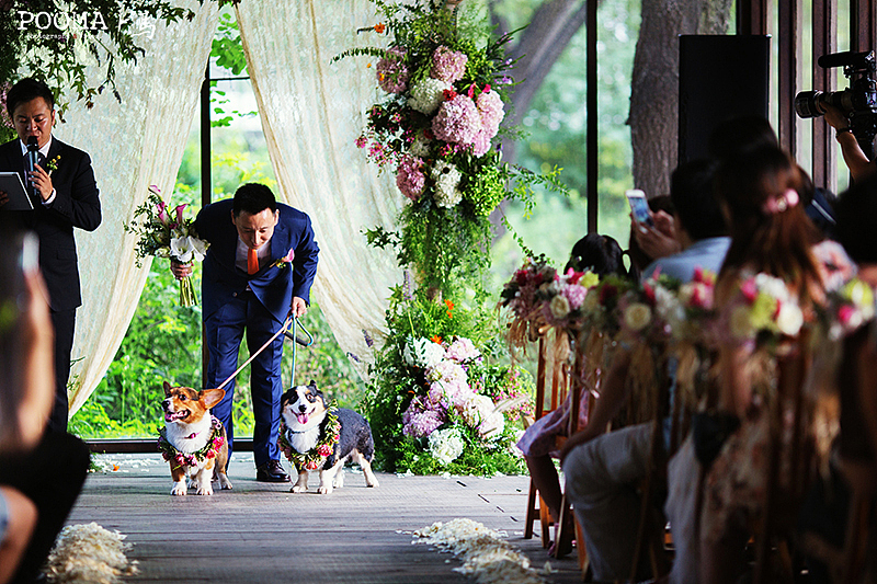 最亮的星－果园婚礼跟拍