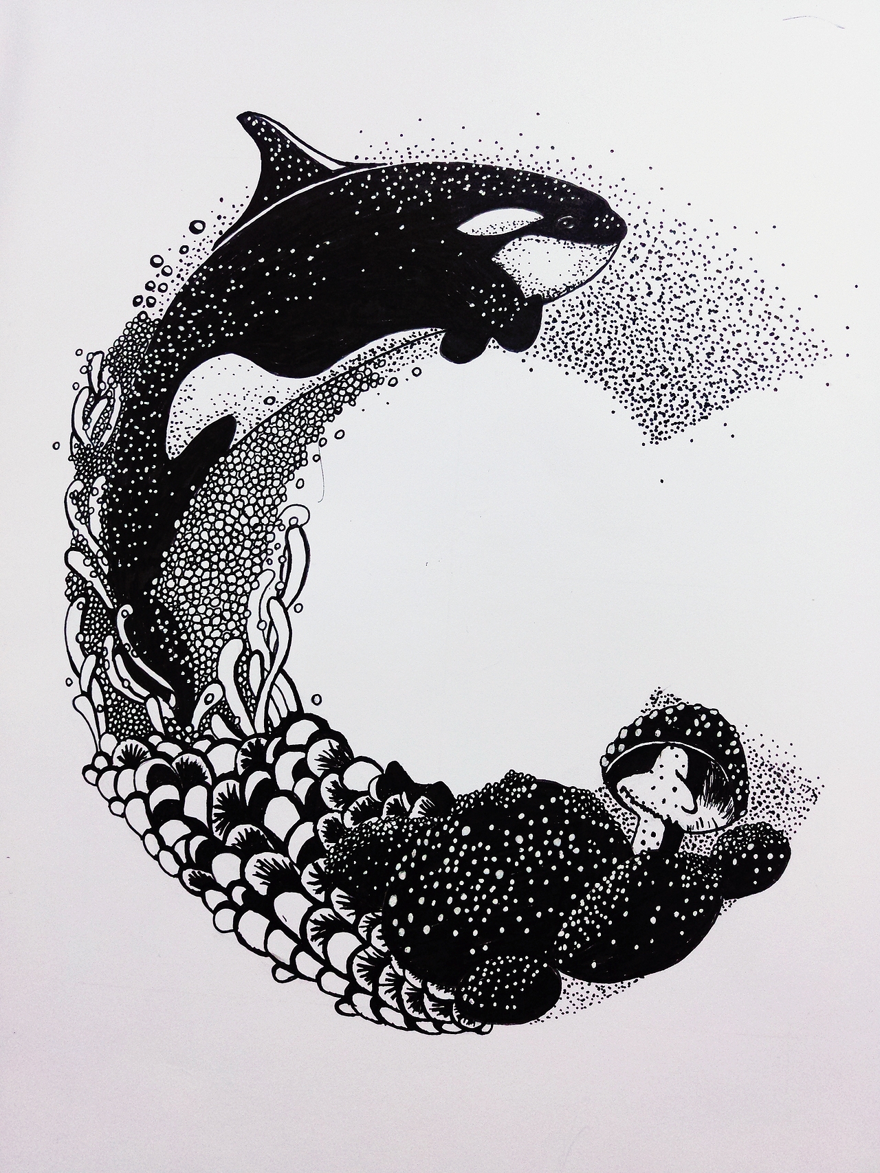 鱼和字母相撞（图ZMTIzMjIwMDQw） - 新锐潮流插画 - 站酷设计师苏兔子原创素材 - 站酷ZCOOL