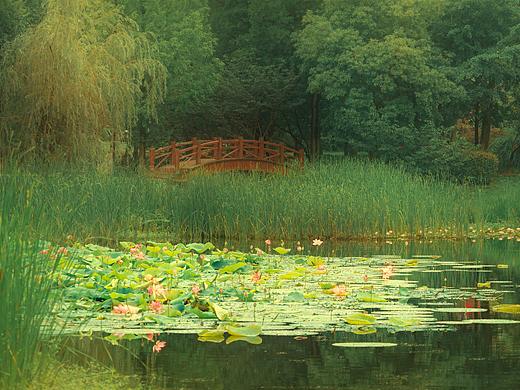 芳草歇柔艳 白露催寒衣