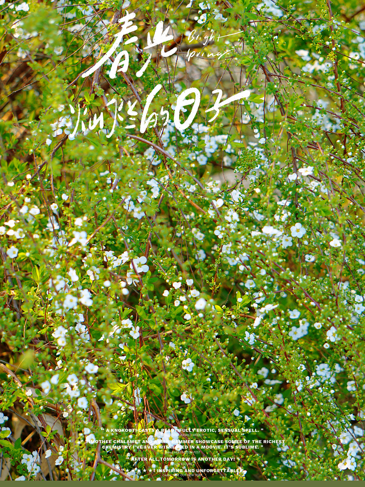 春天日光杭州西湖白塔公园樱花（图ZMjkzMzMzNzI0） - 风光摄影 - 站酷设计师喊喊iY原创素材 - 站酷ZCOOL