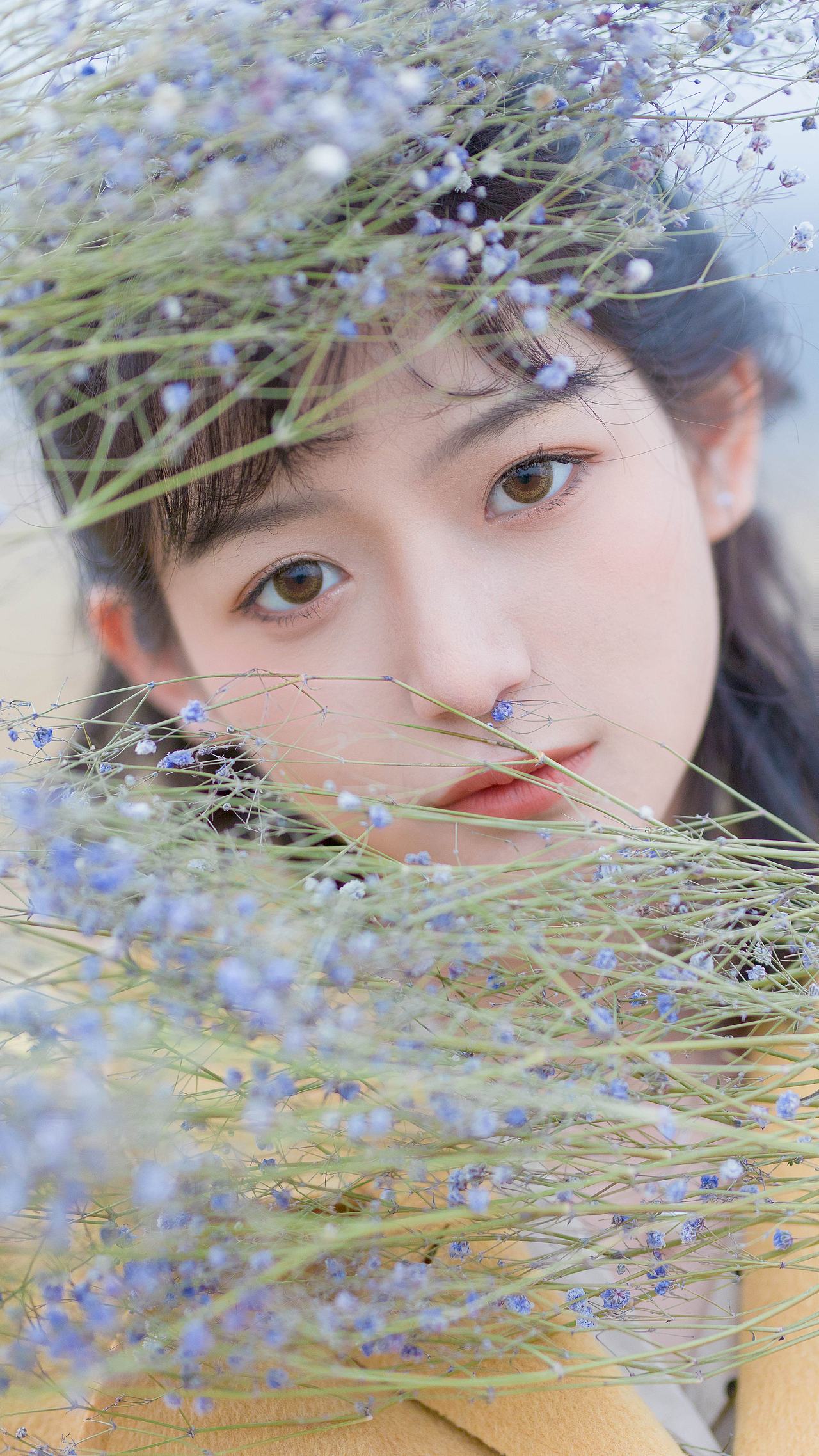 爱丽丝梦里的小草原