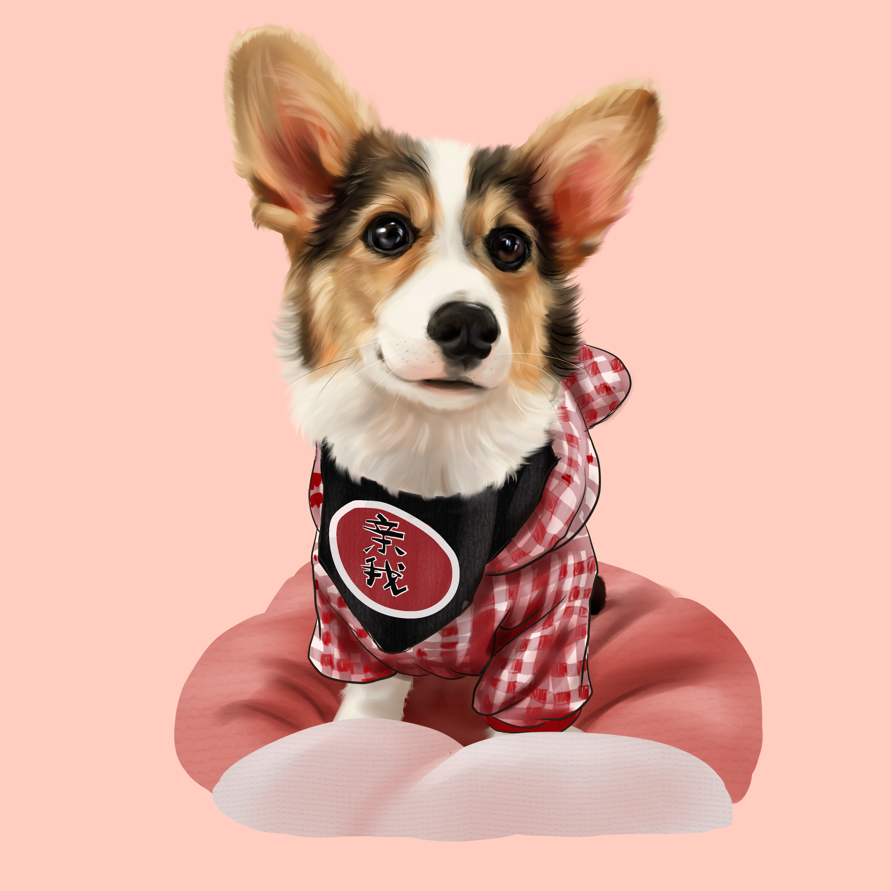 柯基小短腿宠物手绘宠物头宠物插画手绘约稿