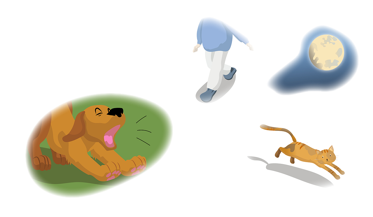 课文插画-不会叫的狗