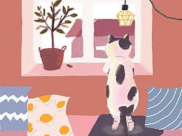 猫咪插画