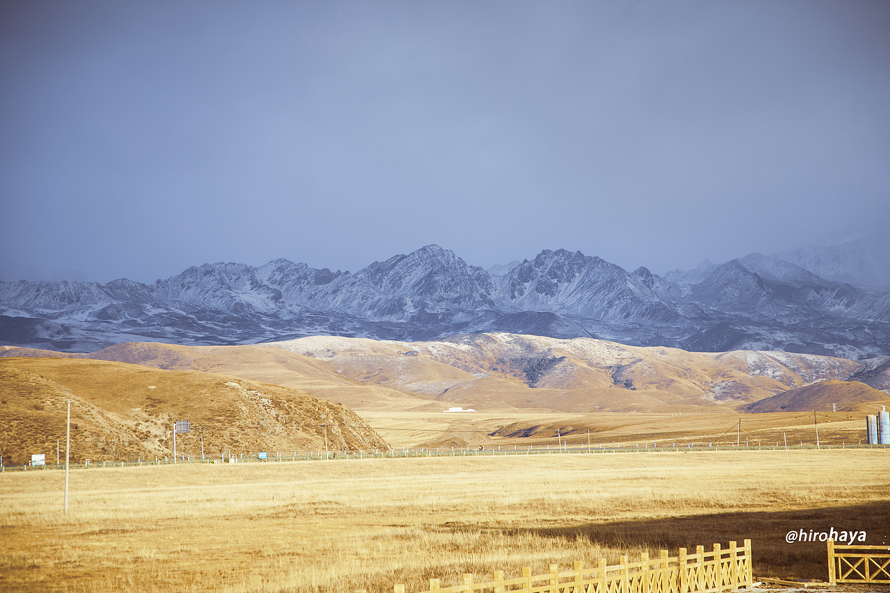 为你看尽千山雪 为你挡众神旨意