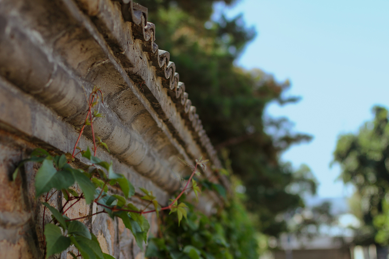 承德 避暑山莊（圖ZMTk5NzgzNzUy） - 風(fēng)光攝影 - 站酷設(shè)計(jì)師makaboka原創(chuàng)素材 - 站酷ZCOOL