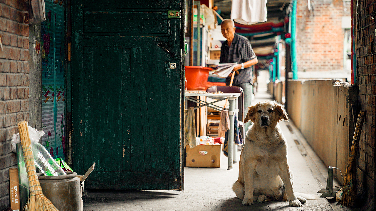 觀察人間（圖ZMTgyMzIxMDIw） - 品牌 - 站酷設(shè)計(jì)師屎粑粑先生原創(chuàng)素材 - 站酷ZCOOL